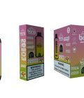 Bang 20000 Vapes 3