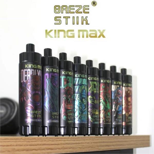 Breze Stiik King Max 10000