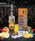 RandM Tornado 10k Vapes 1