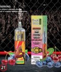 RandM Tornado 10k Vapes 2