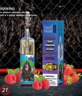 RandM Tornado 10k Vapes 3
