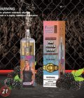 RandM Tornado 10k Vapes 4