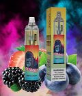 RandM Tornado 7000 Vapes 1